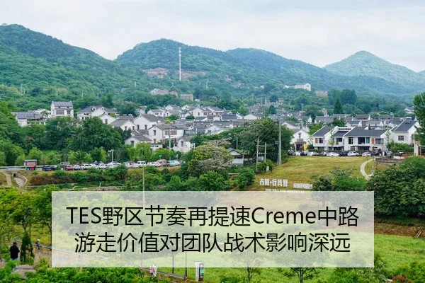 TES野区节奏再提速Creme中路游走价值对团队战术影响深远