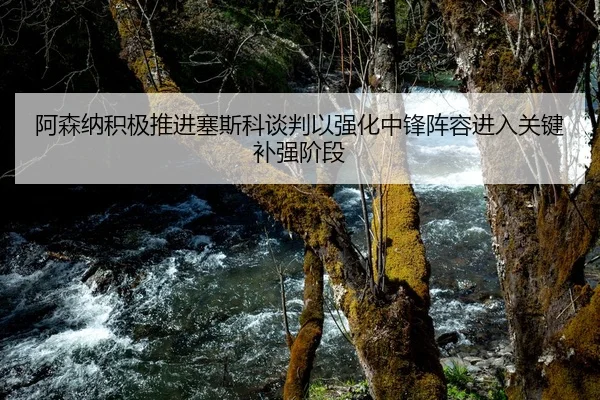 阿森纳积极推进塞斯科谈判以强化中锋阵容进入关键补强阶段