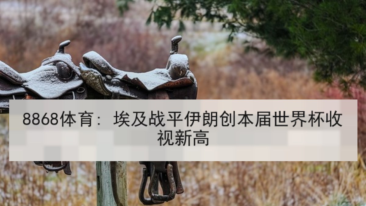 8868体育: 埃及战平伊朗创本届世界杯收视新高 8868体育: 埃及战平伊朗创本届世界杯收视新高