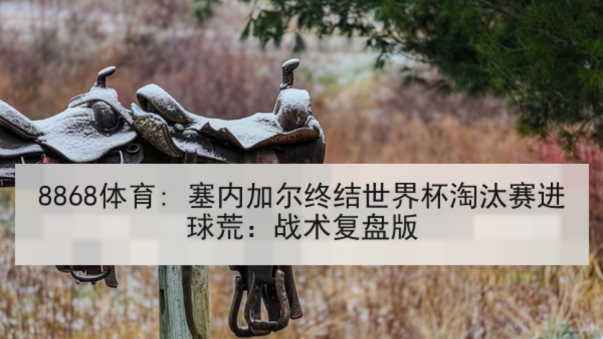 8868体育: 塞内加尔终结世界杯淘汰赛进球荒：战术复盘版