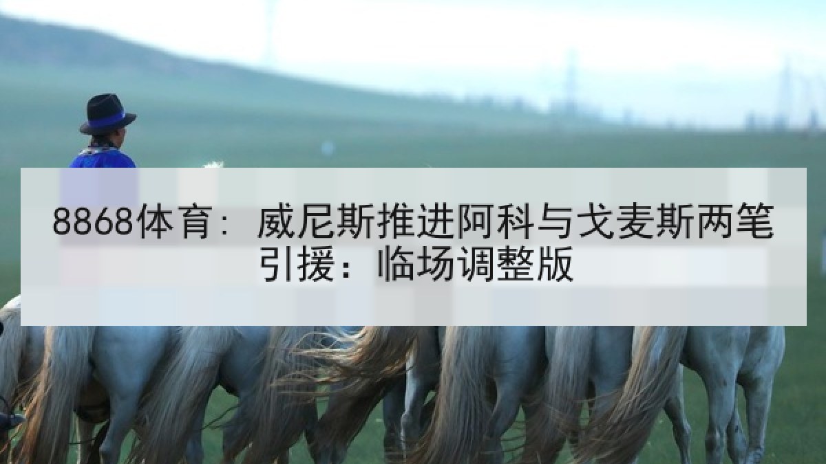 8868体育: 威尼斯推进阿科与戈麦斯两笔引援:临场调整版 8868体育: 威尼斯推进阿科与戈麦斯两笔引援:临场调整版