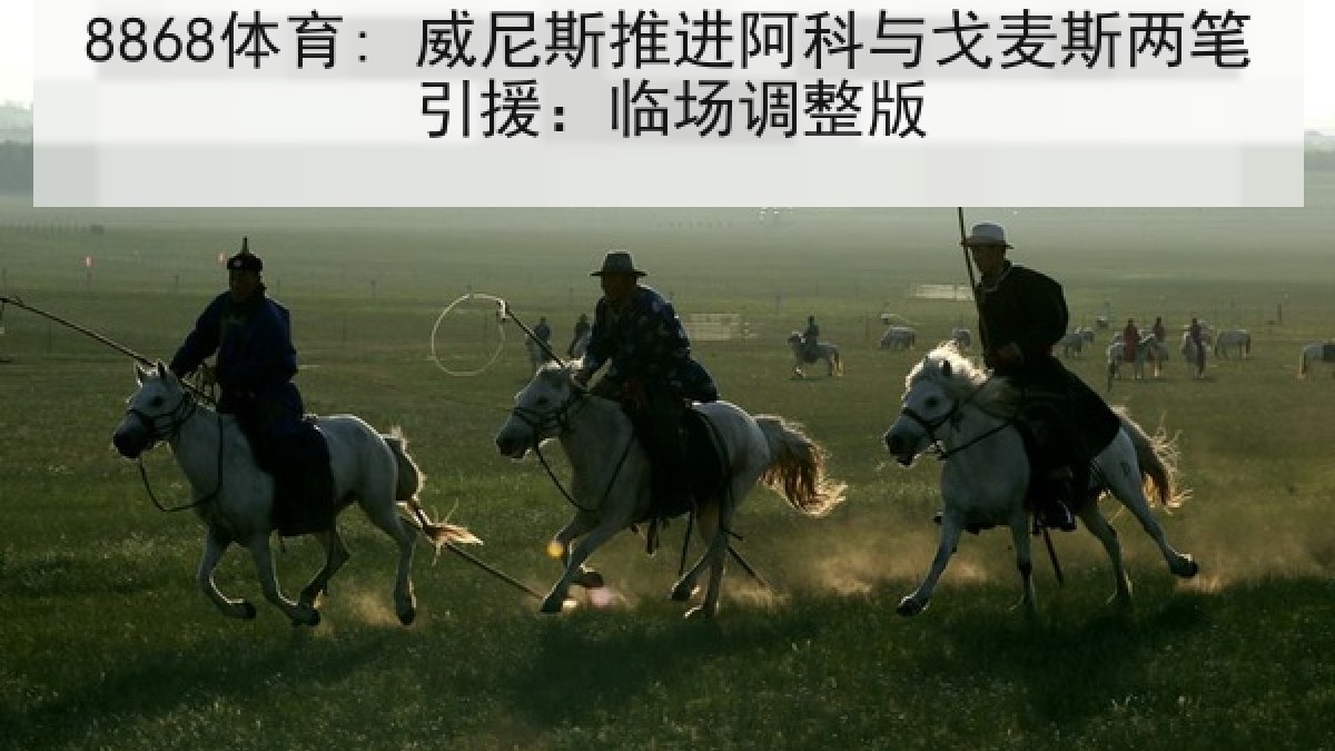 8868体育: 威尼斯推进阿科与戈麦斯两笔引援:临场调整版 8868体育: 威尼斯推进阿科与戈麦斯两笔引援:临场调整版