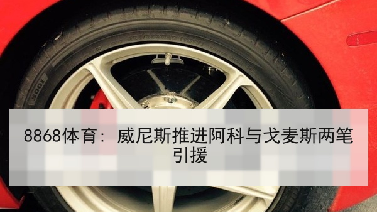 8868体育: 威尼斯推进阿科与戈麦斯两笔引援 8868体育: 威尼斯推进阿科与戈麦斯两笔引援