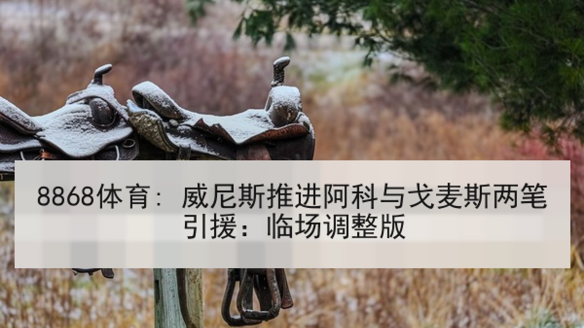 8868体育: 威尼斯推进阿科与戈麦斯两笔引援:临场调整版 8868体育: 威尼斯推进阿科与戈麦斯两笔引援:临场调整版