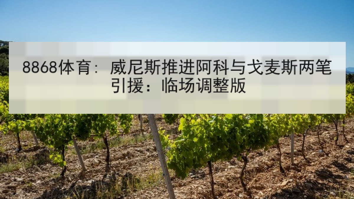 8868体育: 威尼斯推进阿科与戈麦斯两笔引援:临场调整版 8868体育: 威尼斯推进阿科与戈麦斯两笔引援:临场调整版