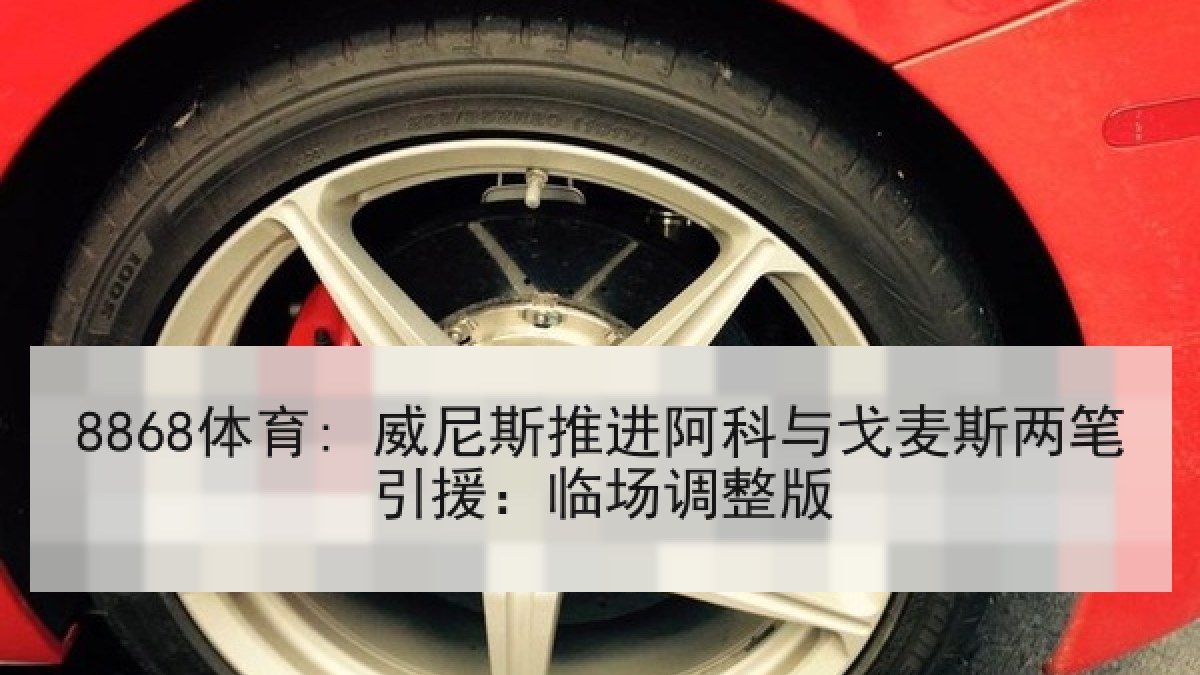 8868体育: 威尼斯推进阿科与戈麦斯两笔引援：临场调整版