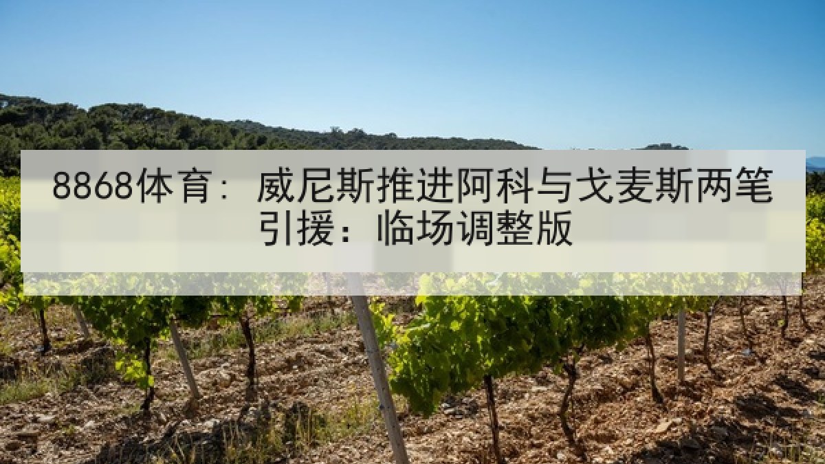 8868体育: 威尼斯推进阿科与戈麦斯两笔引援：临场调整版