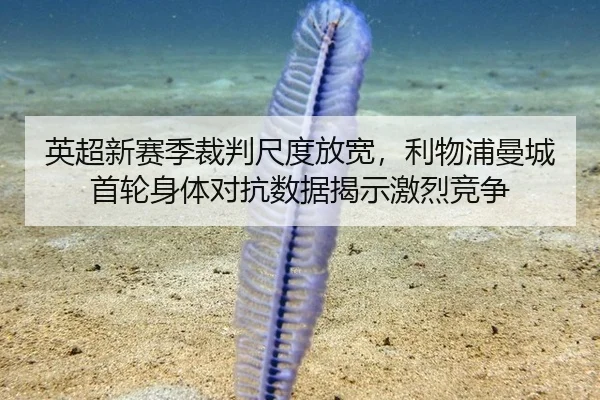 英超新赛季裁判尺度放宽，利物浦曼城首轮身体对抗数据揭示激烈竞争