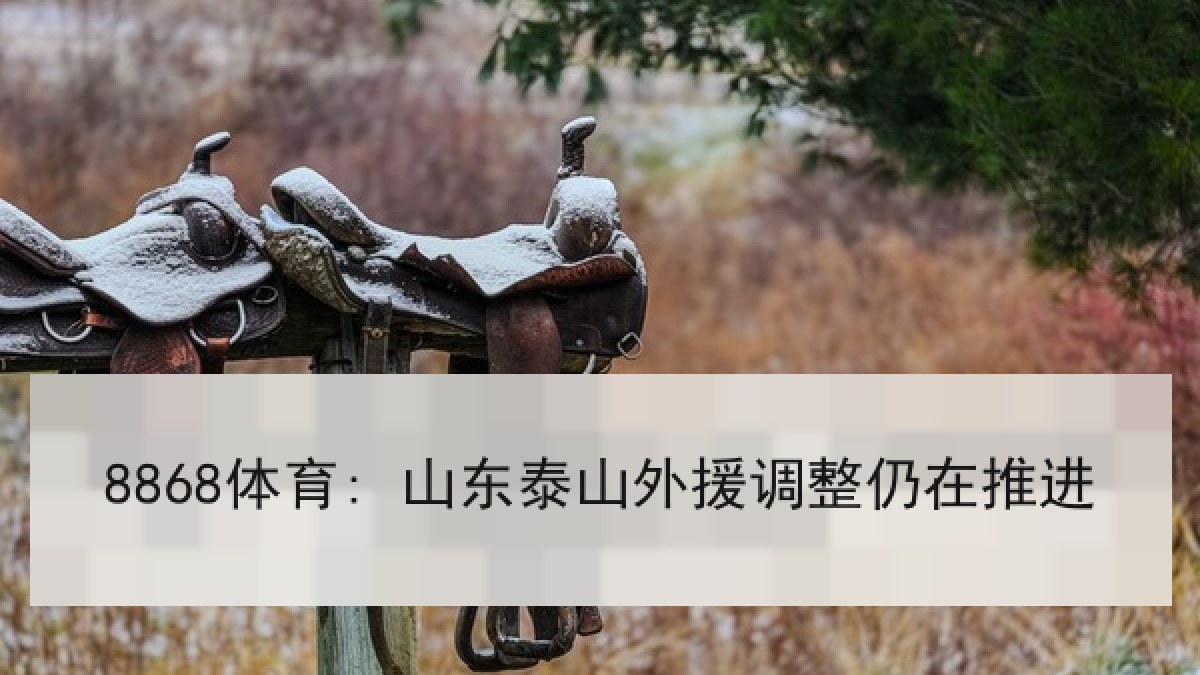 8868体育: 山东泰山外援调整仍在推进 8868体育: 山东泰山外援调整仍在推进