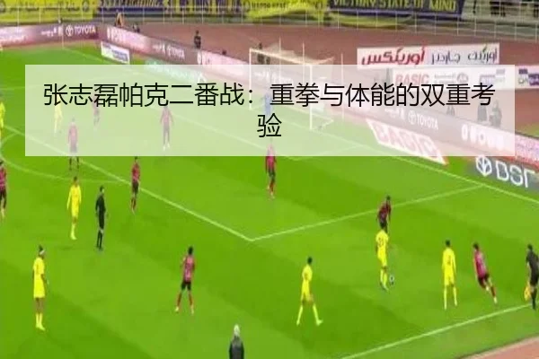 张志磊帕克二番战：重拳与体能的双重考验