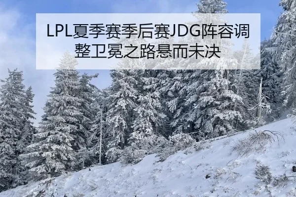 LPL夏季赛季后赛JDG阵容调整卫冕之路悬而未决